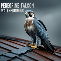 PEREGRINE FALCON WATERPROOFING