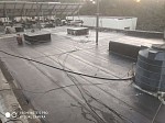 PEREGRINE FALCON WATERPROOFING